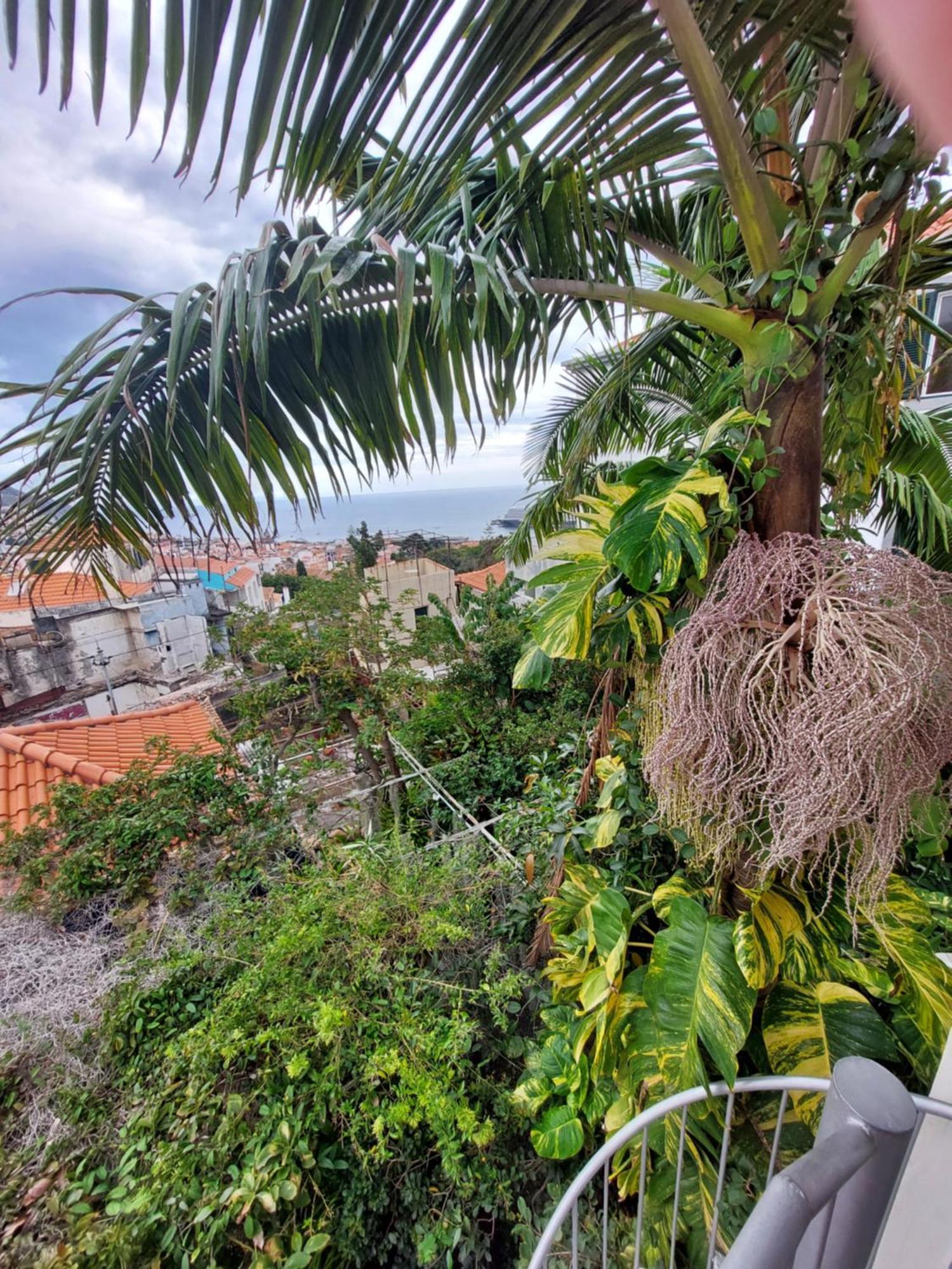 Casa Pico Musica Leilighet Funchal (Madeira)