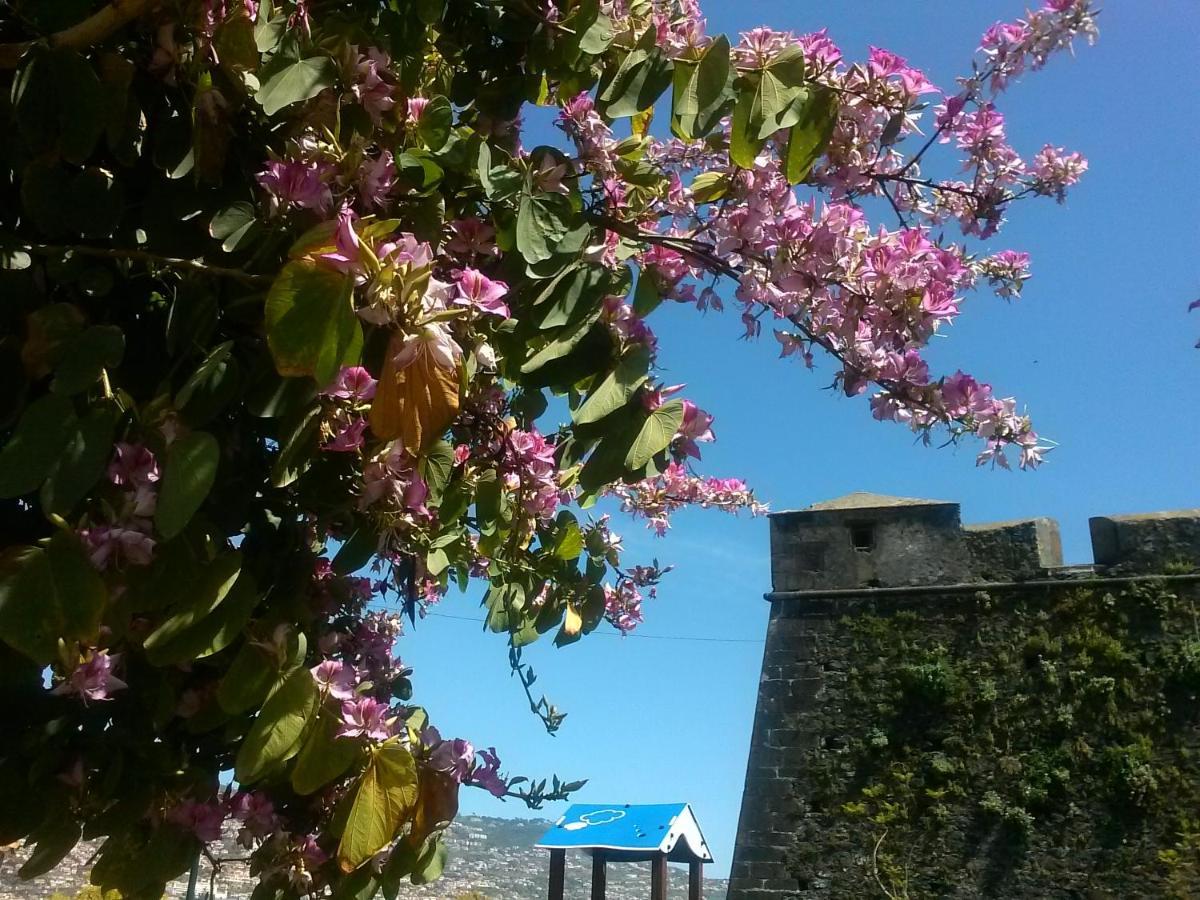 Casa Pico Musica Leilighet